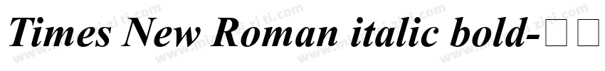 Times New Roman italic bold字体转换